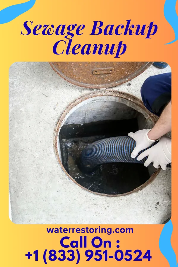 Sewage Backup Cleanup in Colony, KS